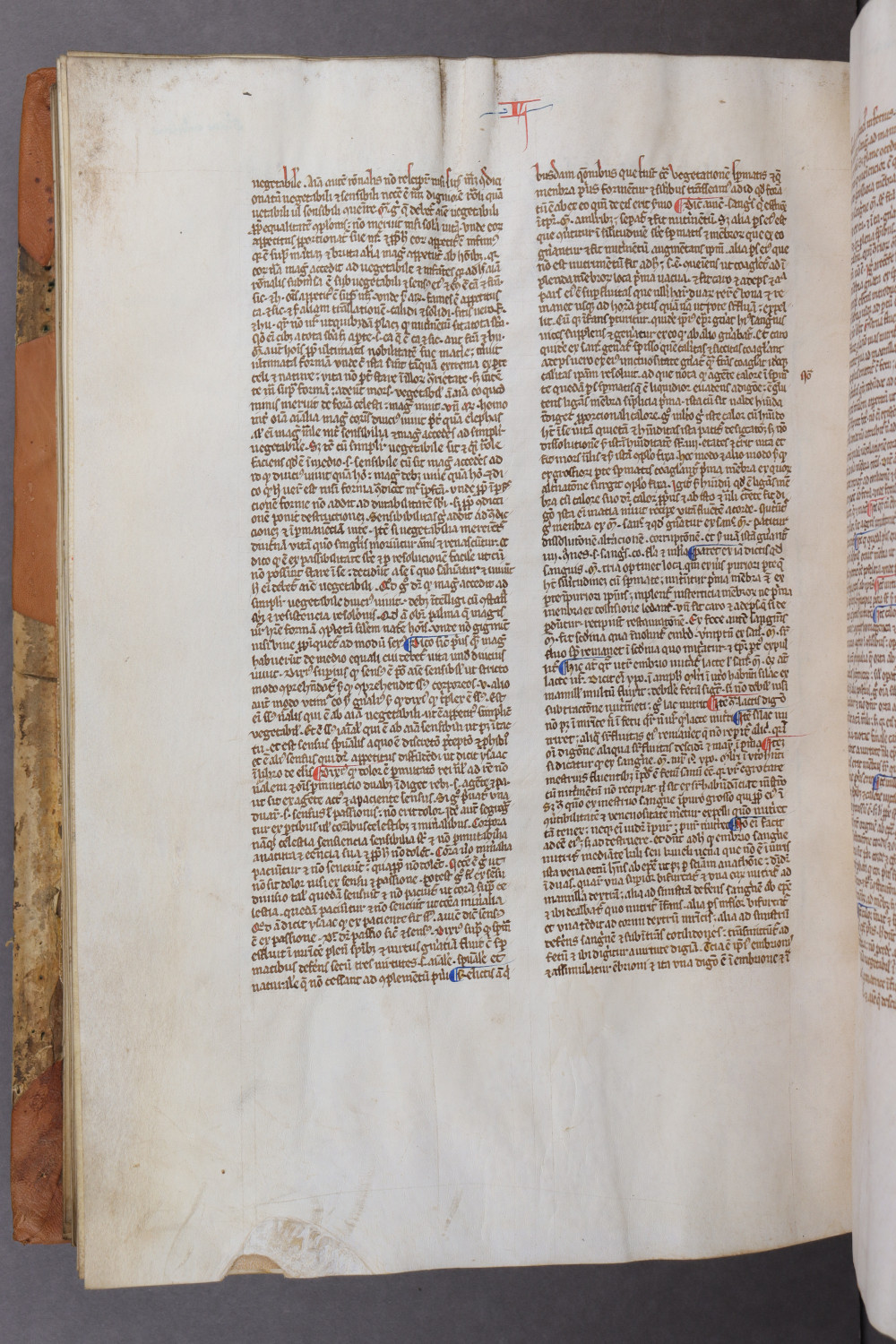 Folio 139 verso